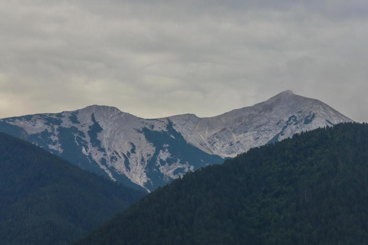 Villa Mountain Hawk Park Bansko Exterior foto